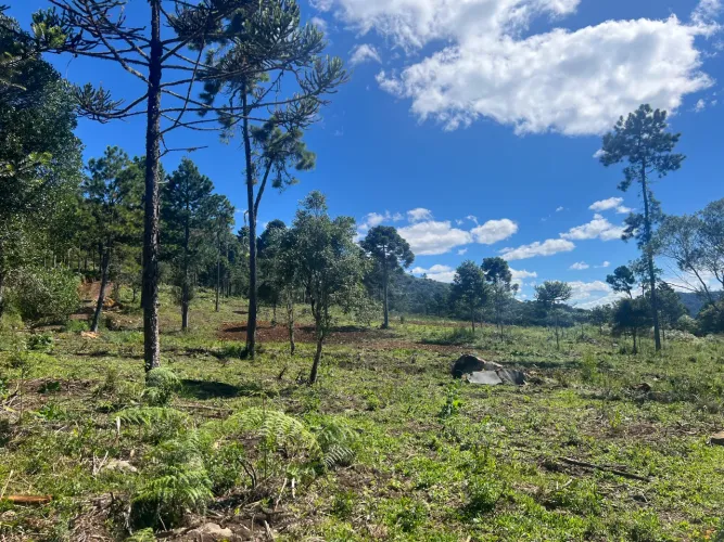 Terreno 6 Hectares com vista em Urubici - 20% + 48X