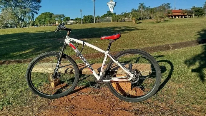 Bicicleta Mônaco Aro 29
