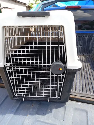 Caixa transporte cão grande