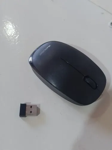 Mouse