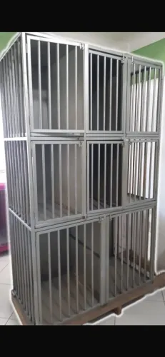 Canil para Pet Shop