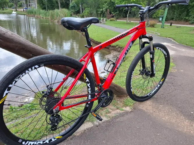 Bicicleta Absolute wild Aro 29