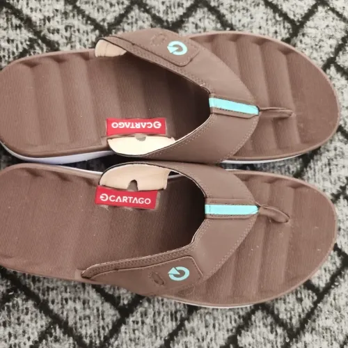 Chinelo Cartago marrom
