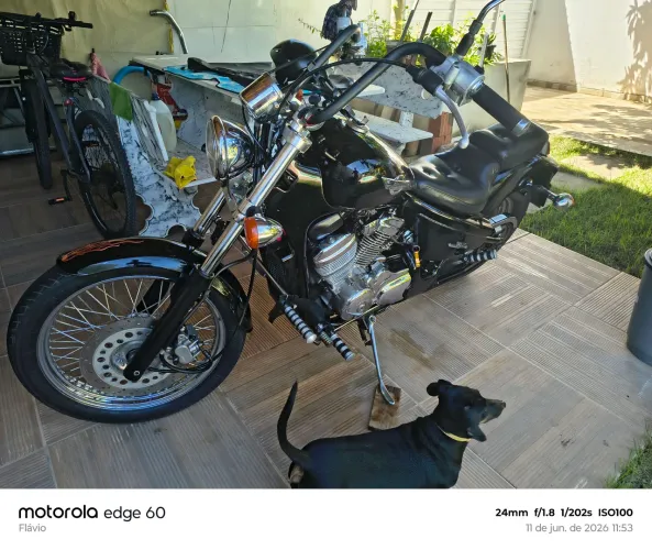 Shadow 600VLX