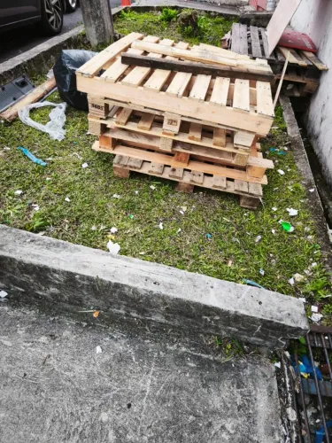 Doando pallet de madeira