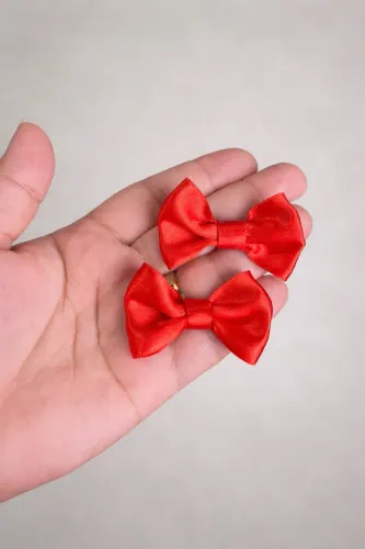 Laços Pet - @lacolatido