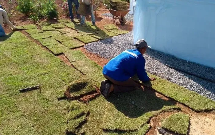 Serviços de plantio de grama e capina