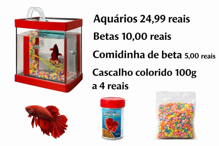Aquario beta