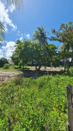 Terreno Beira Mar - Praia de Muriú - Escritura Pública