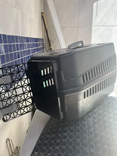 Caixa de Transporte animal + kit