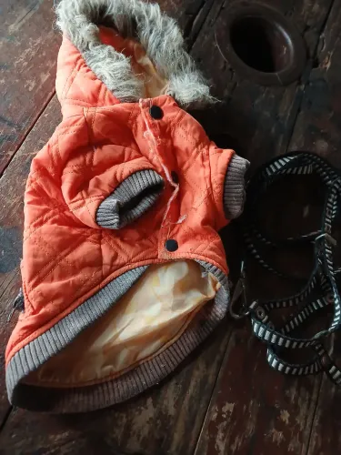 Kit uma roupa para cachorro de porte pequeno, e uma coleira para cachorro de porte pequeno