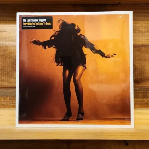 Vinil The Last Shadow Puppets - Everything You?ve Come to Expect | Novo/Lacrado