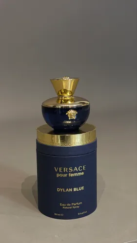Perfume Versace Dylan Blue Femme Feminino Eau De Parfum 100ml