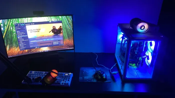 monitor