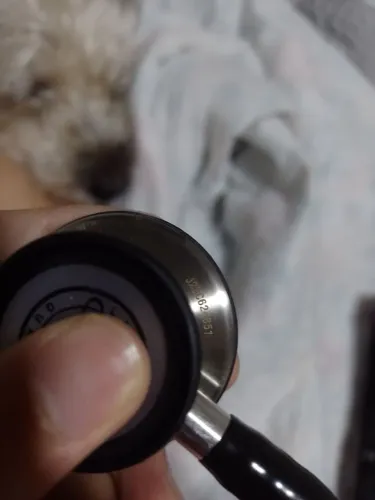 Estetoscópio Littmann