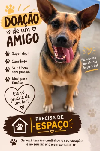 Adoção responsável