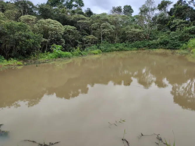Terreno comercial de frente para rodovia