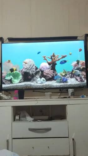 Vendo tv