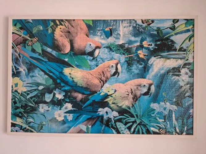 Quadro quebra-cabeça como moldura (124cm x 80 cm)