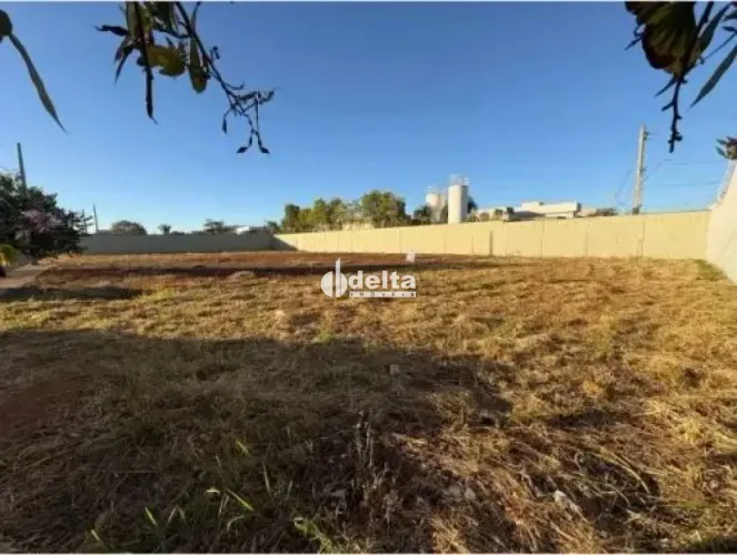 Terreno disponível para venda no bairro Novo Mundo em Uberlândia-MG.