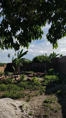 terreno pra vender na pb008