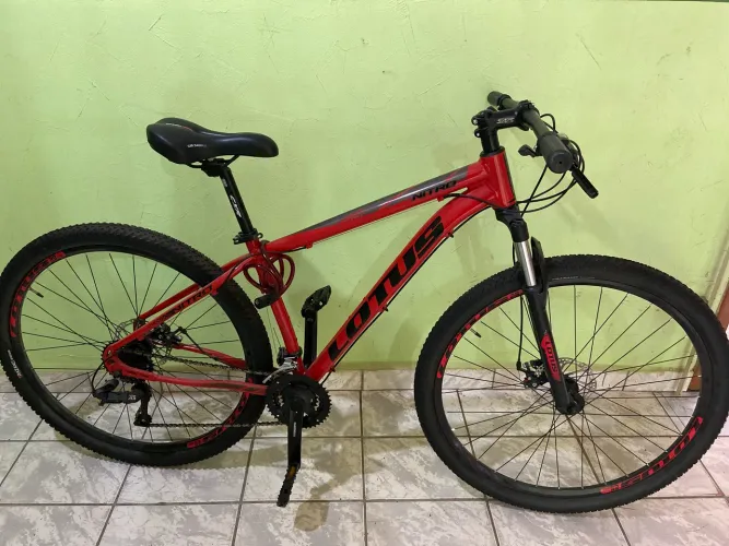 Bicicleta LÓTUS ARO 29