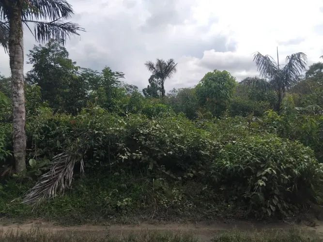 Terreno 25x70 ramal paricatuba 