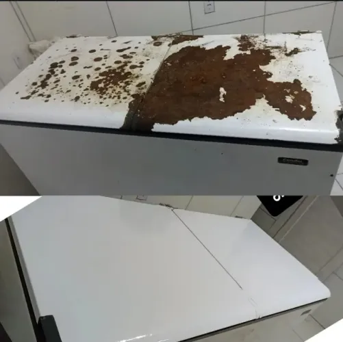 freezer renova