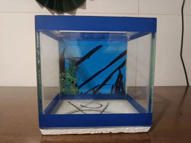 Aquário para Betta