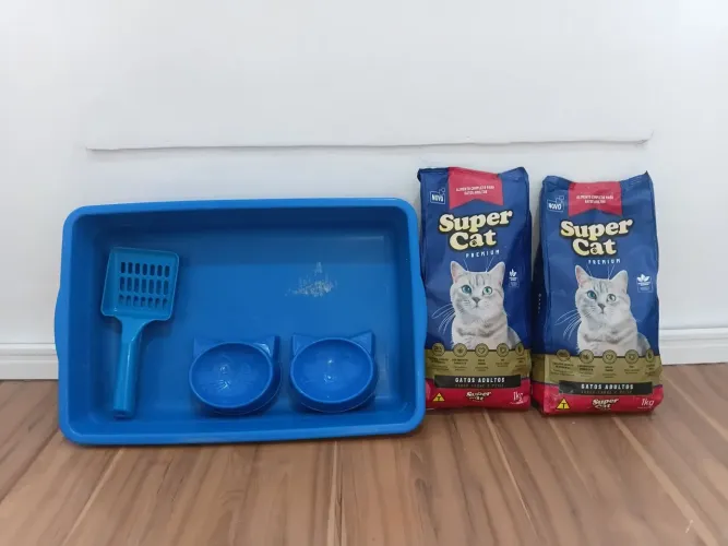 Kit gato