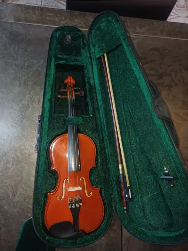 Violino 4-4 michael com case