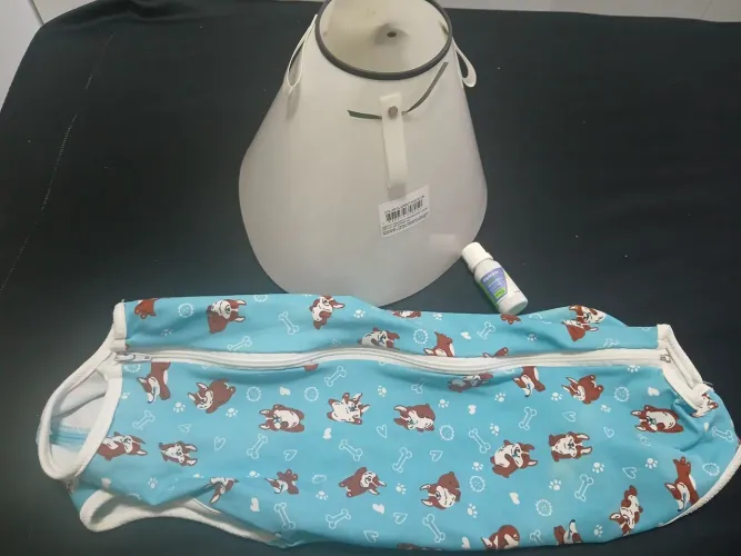 Roupa pra castração cachorro macho