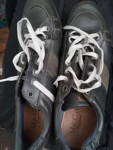 Sapatenis Mister Cat