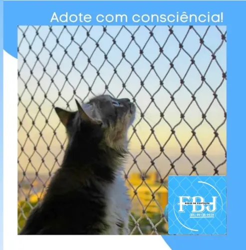 Redes de proteção 