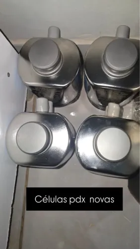 Célula pdx