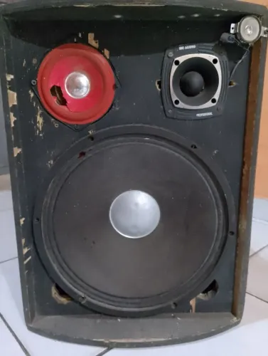 Caixa de Som Profissional R$ 100,00