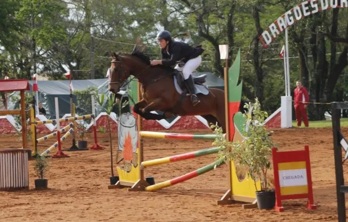 Cavalo de hipismo 