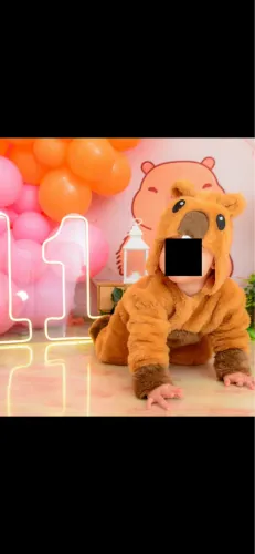 Fantasia capivara mesversario