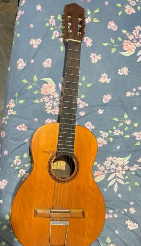 Violão Di Giorgio Signorina Nº 16 Ano 2000