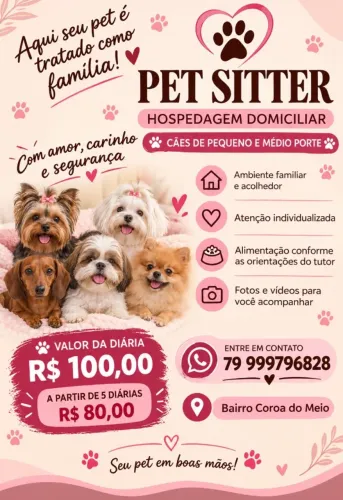 Cuidadora pet / animais