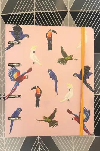 Caderno argolado - Cícero estampado