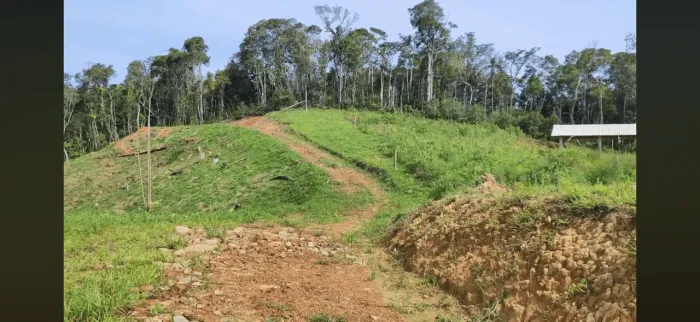 Sítio - Com bela vista - São Pedro de Alcantara