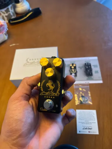 Decibelics Golden Horse Black