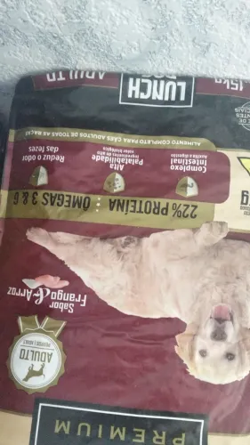 Ração lanch dog queima estoque 50