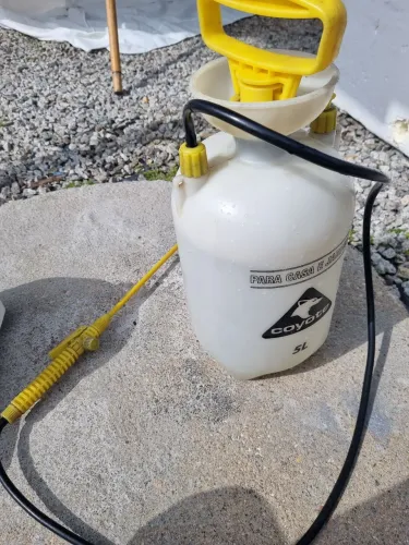 Coyote para casa e jardim 