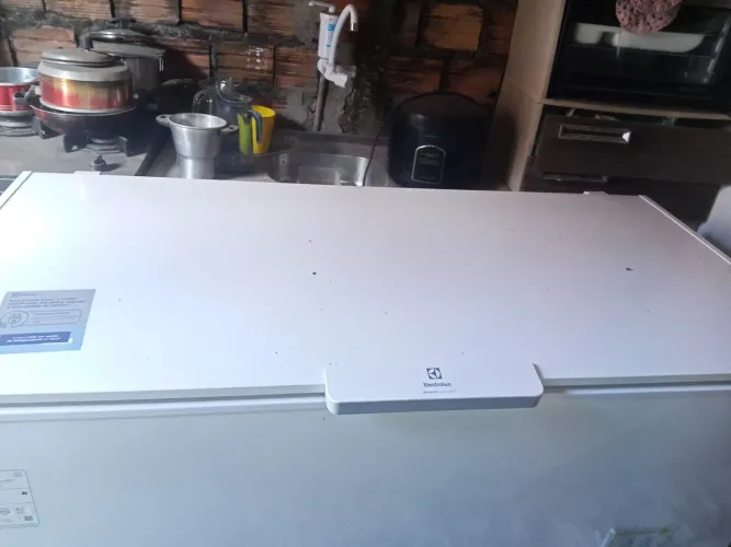 Freezer Electrolux