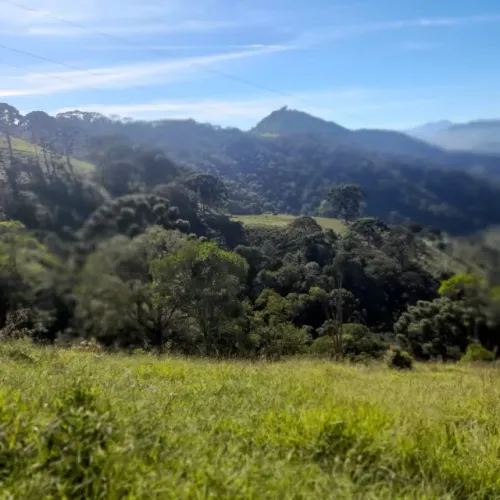 Magnífico Sítio de 29 Hectares na Serra da Mantiqueira, Piranguçu-MG