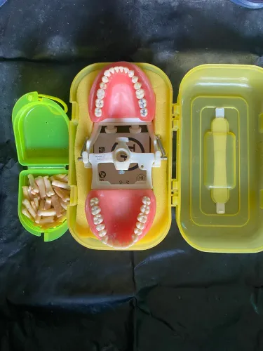 Manequim dentistica Pronew