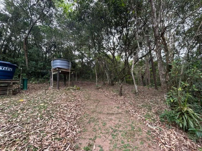 Terreno para Venda em Florianópolis, Cacupé