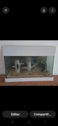 Vendo aquario com motor, completo